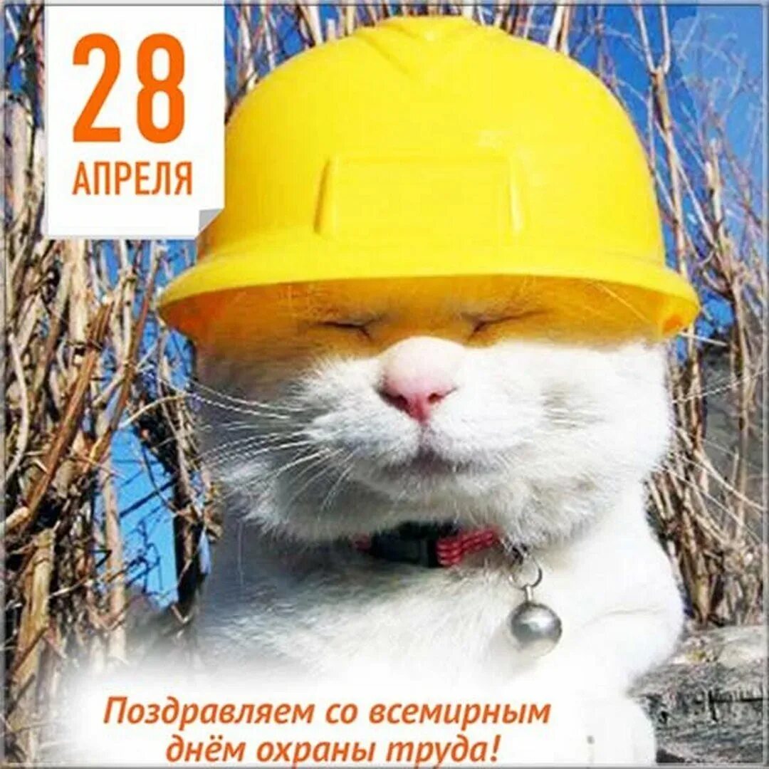 Пудов день 28 апреля картинки. 28 апреля праздник день охраны труда. Всемирный день охраны. Всемирный день охраны руда. День охраны труда.