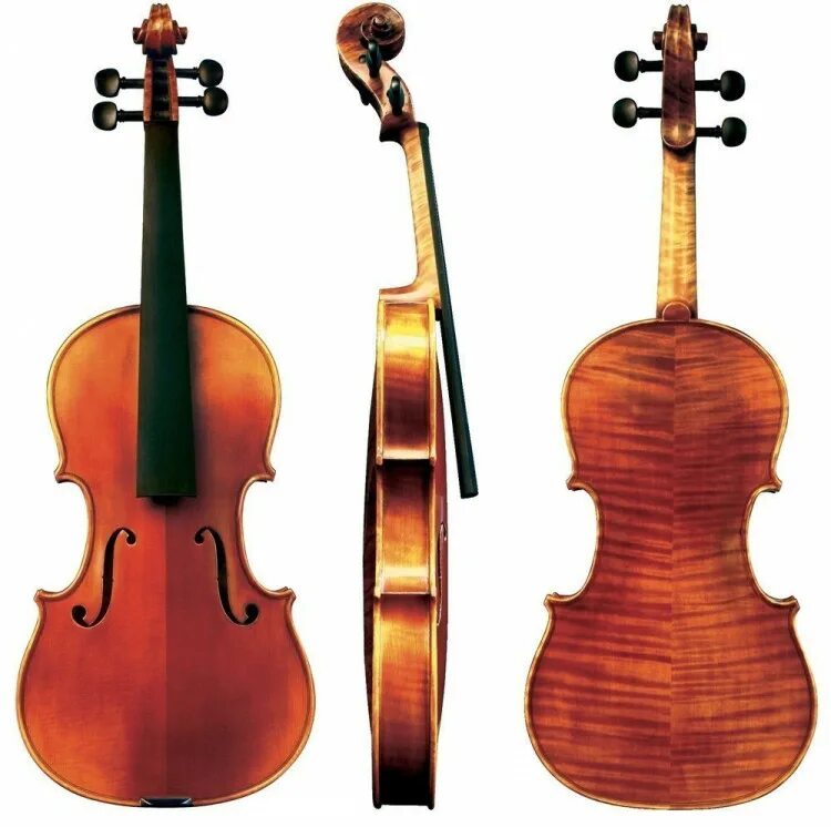 Скрипка 1 1 купить. Скрипка 4/4 Gewa Maestro 51. Скрипка 4/4 Gewa Maestro 46. Gewa Violin ideale-vl2 4/4. Gewa Maestro 6 скрипка 4/4.