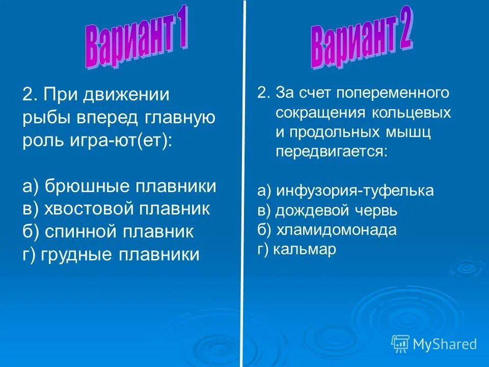 Плавники рыбы схема. Опишите внешнее строение рыбы. Органы передвижения рыб таблица. Грудные плавники рыб функция. Функции плавников у рыб.