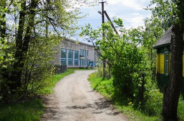 Погода опухлики невельского. Погода опухлики невельского. Погода опухлики невельского. Деревня опухлики псковская. Погода опухлики невельского.