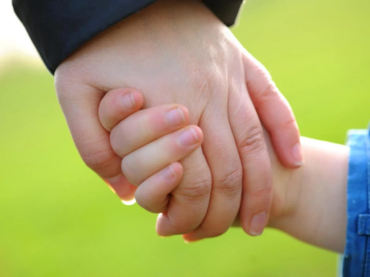 Опека брачный. Детская рука в руке. Детская и взрослая рука. Рука ребенка и взрослого. Руки детские и взрослые.