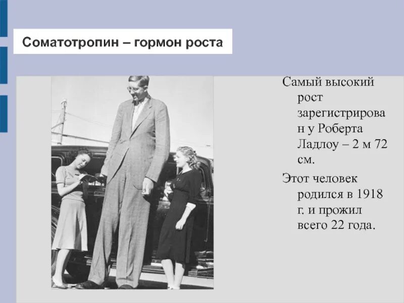 Соматотропин человека. Гормон роста. Гормон роста соматропин. Соматотропина – гормона роста.. Гормоны влияющие на рост человека.