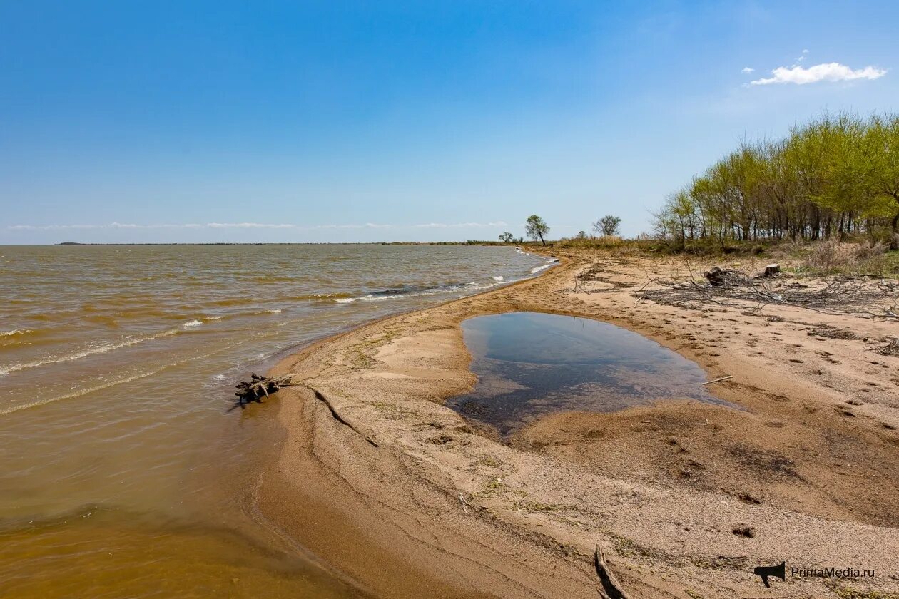 Озеро ханка является. Озеро ханка Приморский край. Озеро ханка Новокачалинск. Озеро с песчаным пляжем. Песочный берег озера.