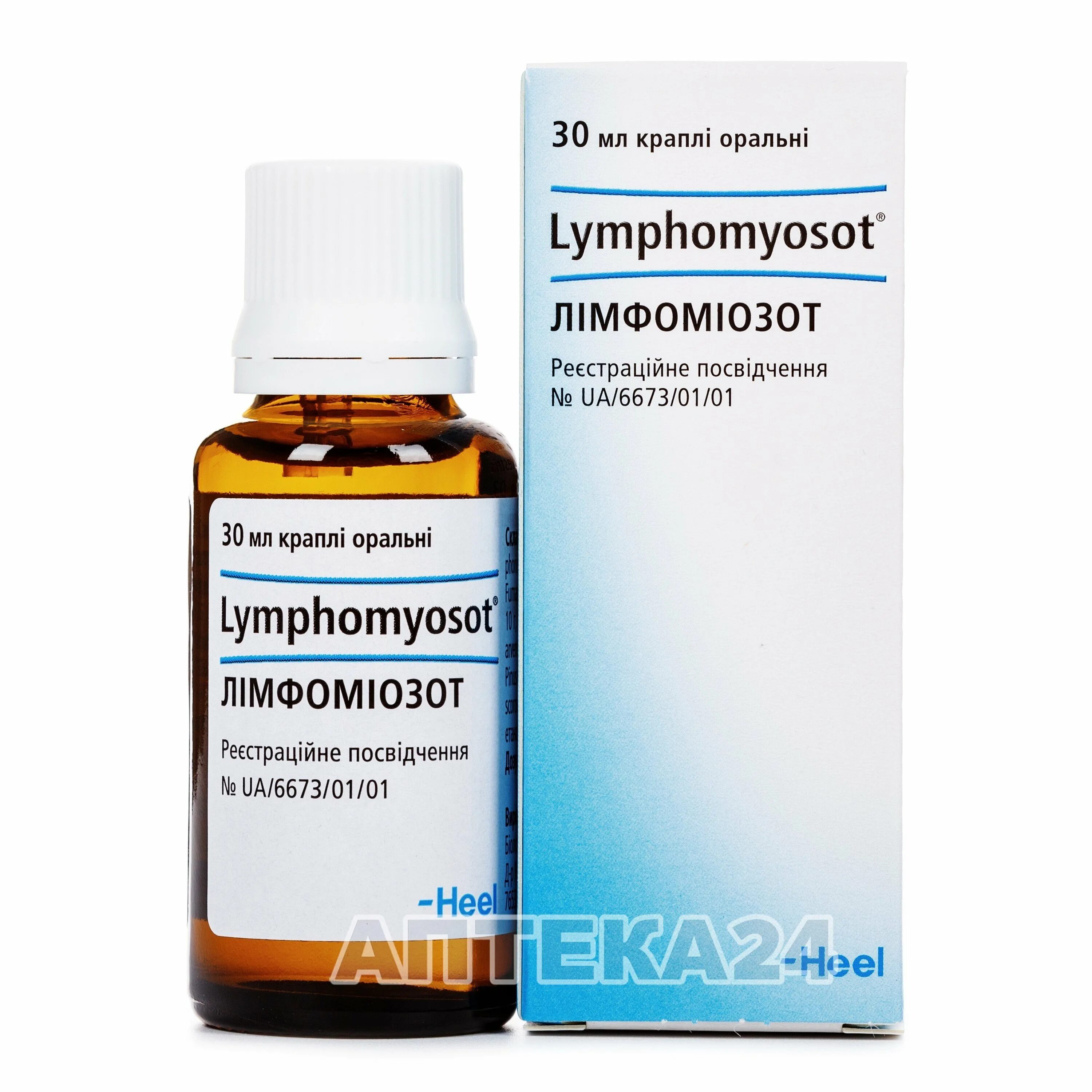 Капли гомеопатические лимфомиозот. Лимфомиозот капли 30мл Ригла. Капли от лимфоузлов лимфомиозот. Лимфомиозот капли внутр. 30мл. Лимфомиозот купить в москве