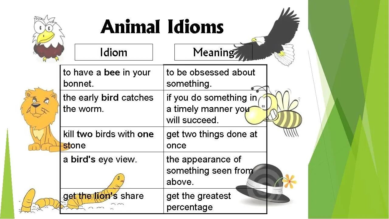 Что такое идиомы в английском языке. Идиомы на английском. Английский язык. Идиомы. Идиомы связанные с животными. Что такое идиом в английском языке.