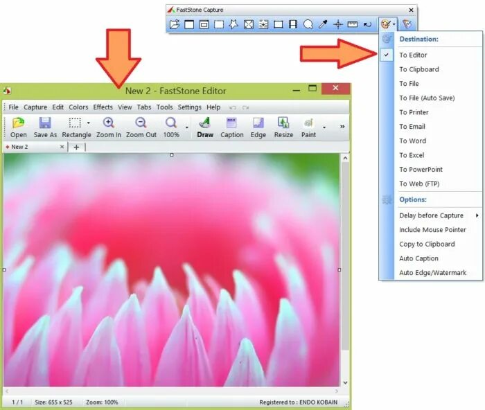 Faststone capture для windows. программа для скриншотов faststone. Faststone capture русский. Faststone capture 10. Faststone capture код активации.