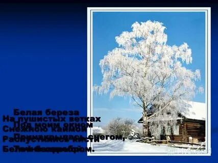 Белая береза какой жанр