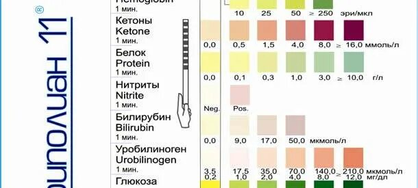 Тест анализ мочи с ответами. Анализ мочи тест полоски расшифровка. Цветовая шкала для определения сахара в моче. Тест полоски на белок в моче для беременных расшифровка. PH анализ мочи расшифровка норма.