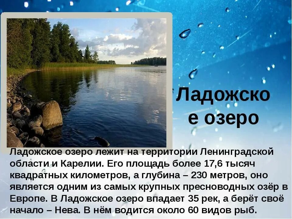 Назовите 3 озера россии. Рассказ проект про Ладожское озеро. Описание Ладожского озера. Озеро для презентации. Доклад об озере Ладожское озеро.