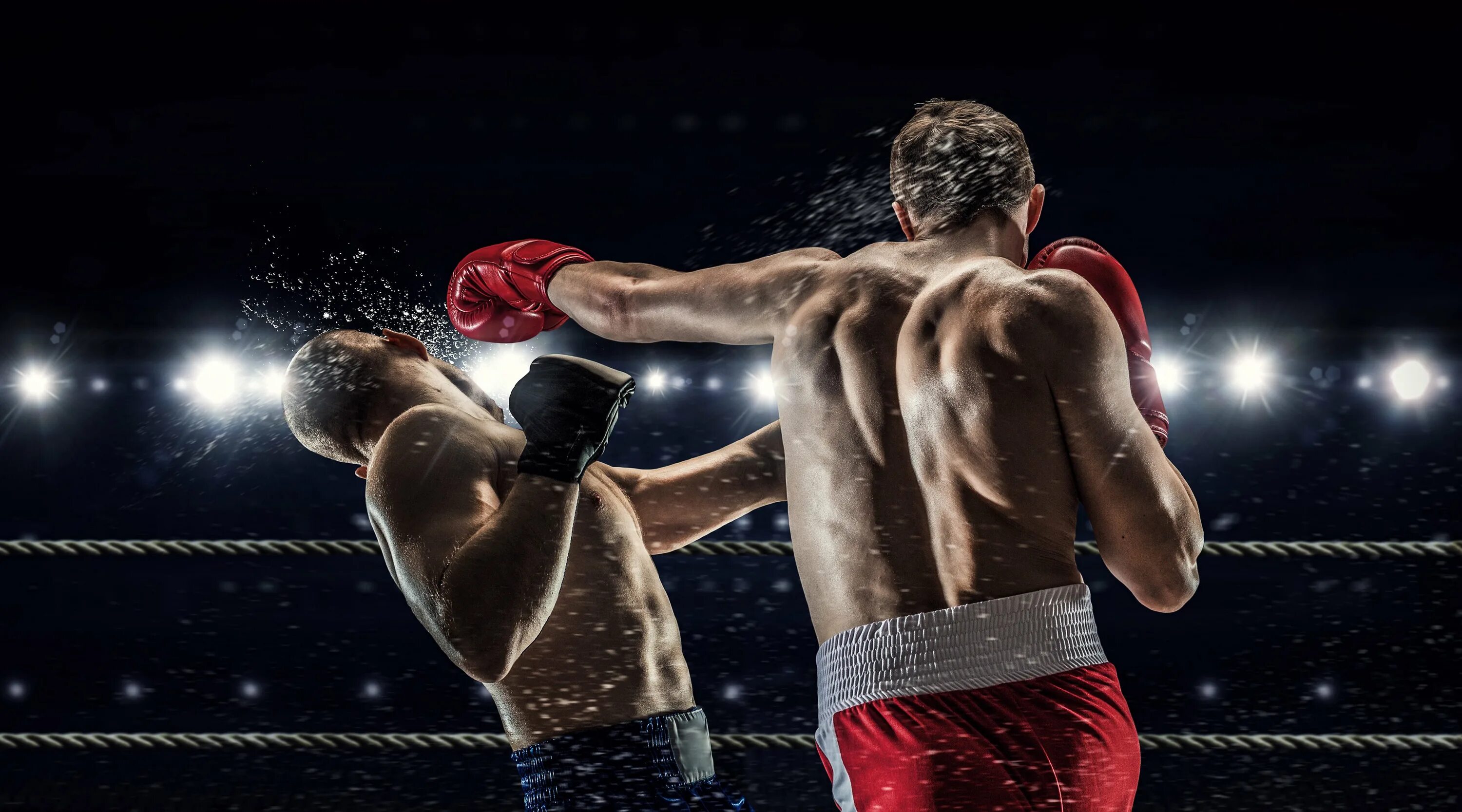 4 d boxing