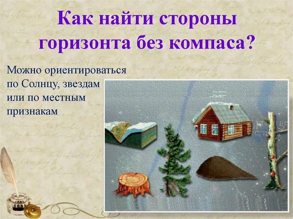 Как найти стороны горизонта без компаса. Как можно определить стороны горизонта без компаса. Определение сторон горизонта по местным признакам. Ориентирование по природным признакам. Определить стороны света в квартире без компаса