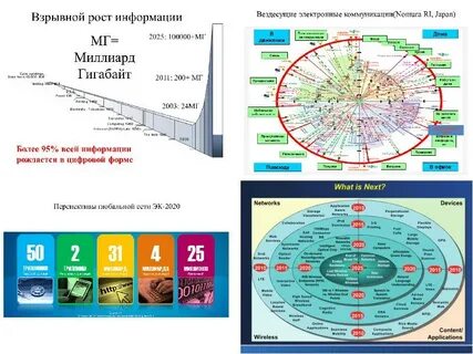 Экосистем ростов