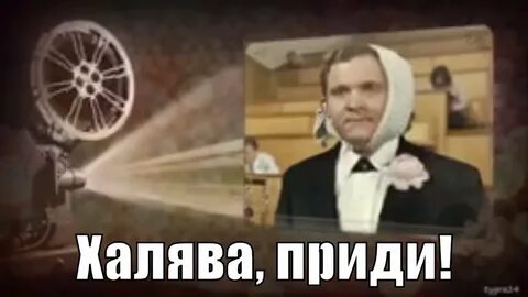 Студенческая халява