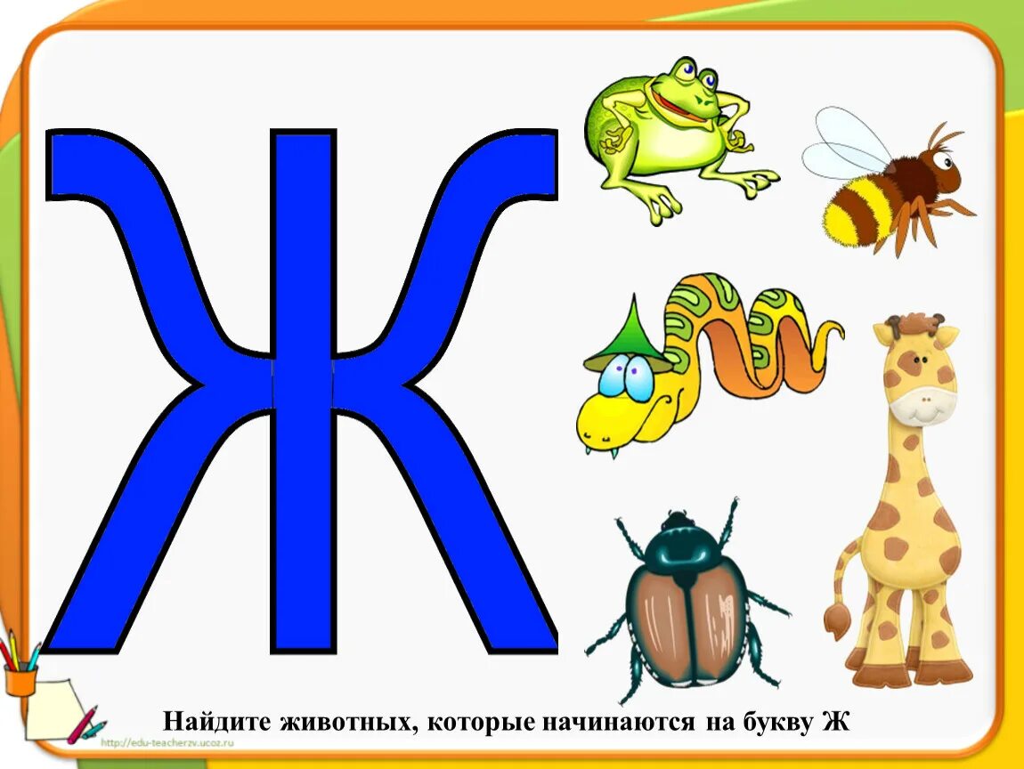 Буква ж звук обозначаемый. Буква ж. Предметы на букву ж для детей. Буква ж для дошкольников. Звук ж буква ж.