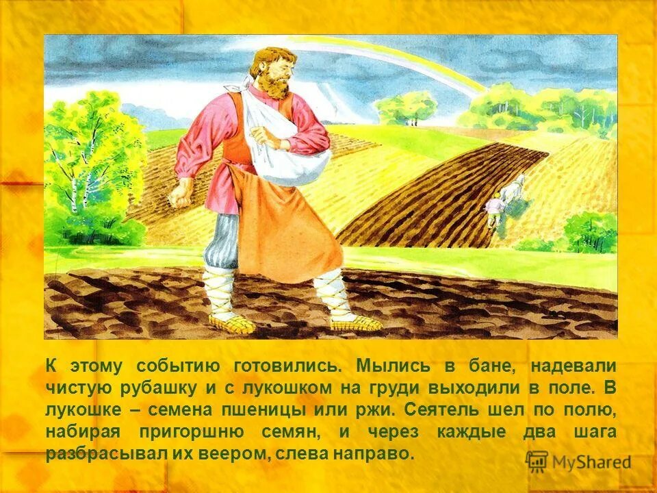 Библейские притчи. Пушкин пустыни сеятель. Притчи иисуса христа. Библейские притчи для детей. Притчи иисуса христа.