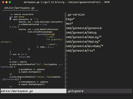 Neovim GUI