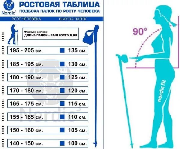 Как определить размер скандинавских палок. Палки для скандинавской ходьбы на рост 170. палки для скандинавской ходьбы таблица роста. как выбрать палки для скандинавской ходьбы по росту таблица. таблица подбора палок для скандинавской ходьбы.