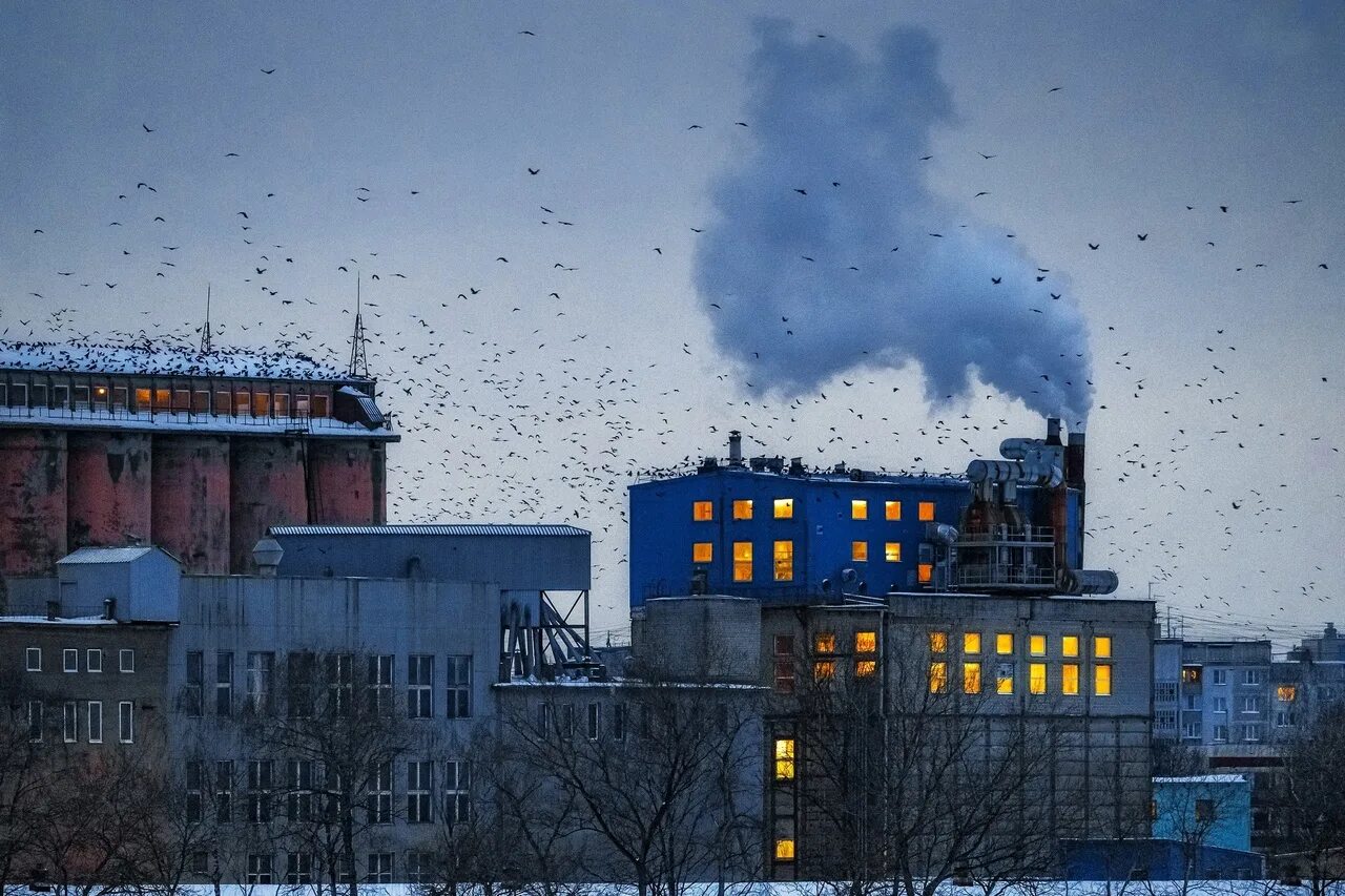 Ночной дозор Свиблово. Пожар в Садыково Тверь. Пожар в Твери вчера. Flowers Factory Тверь.