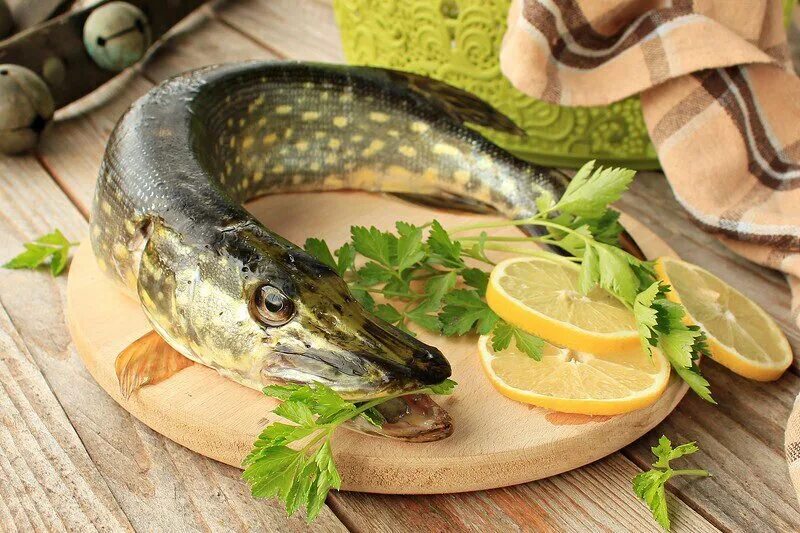 Рецепты со щукой