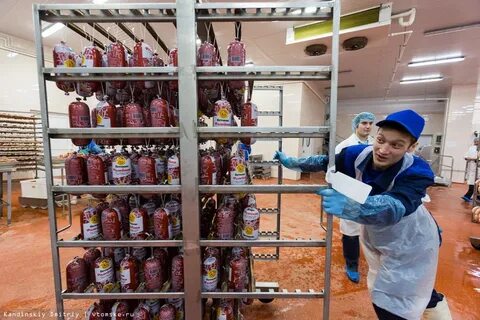 Птицефабрика курган