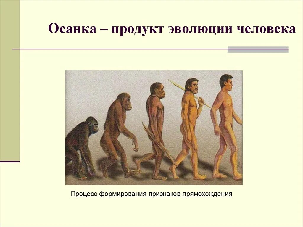 В развитии человечества выделяют