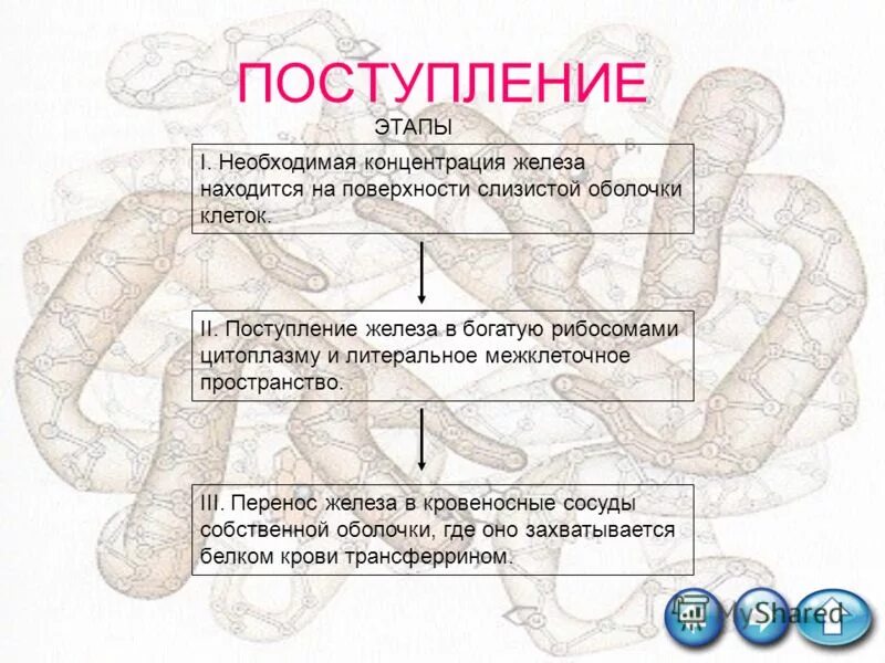 шаги поступления. педагогическая диагностика этапы. этапы приема информации. план поступления в вуз. поступление этапы.
