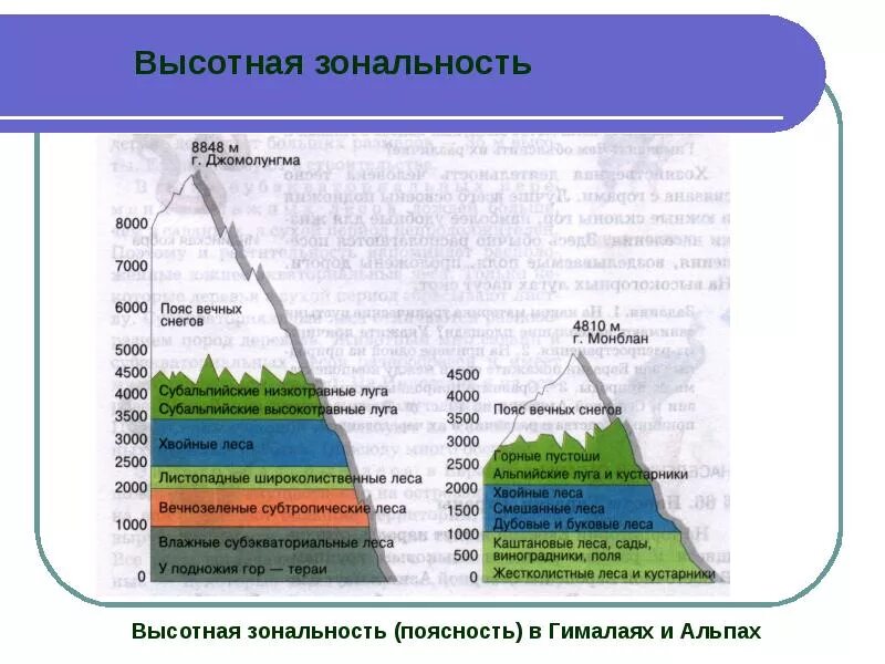 В каких горах больше природных зон. Высотная поясность климат горы Гималаи. Высотные пояса Гималаев и Альп. Высотная поясность Гималаев схема. Высотная поясность альпийских гор.