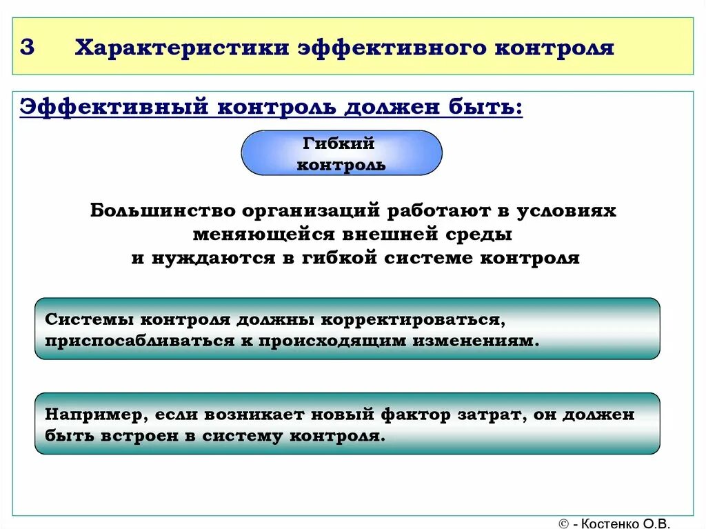 Система эффективного контроля организации