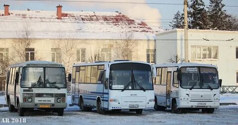 Автобус тамбов волчки