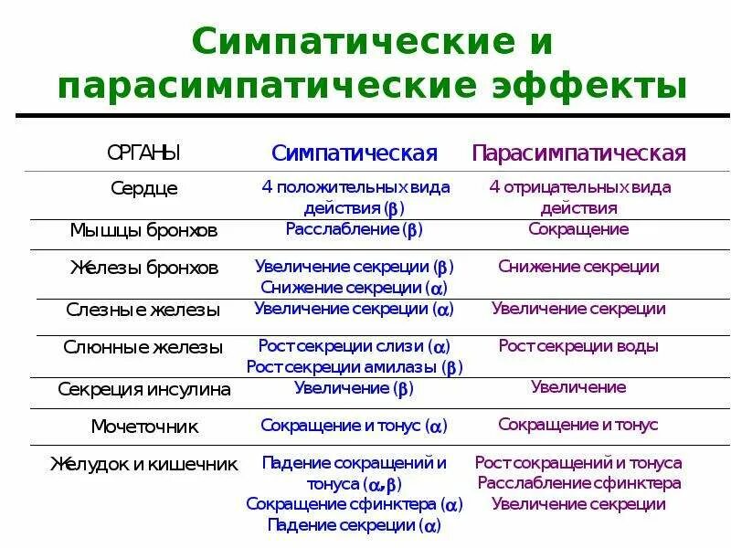 Орган симпатическая парасимпатическая таблица. Симпатическая и парасимпатическая нервная система. Парасимпатическая система и симпатическая система. Влияния симпатических и парасимпатических нервов.