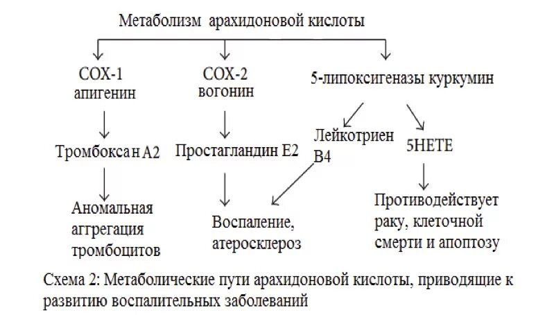 Схема реакции образования арахидоновой кислоты