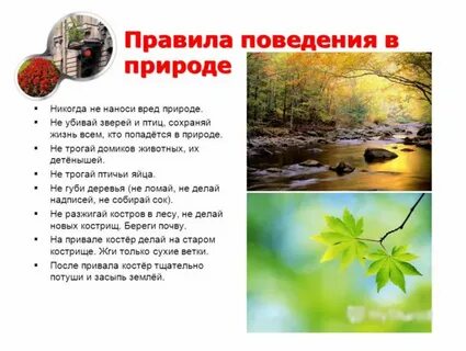 Правила безопасного поведения в природной среде видео
