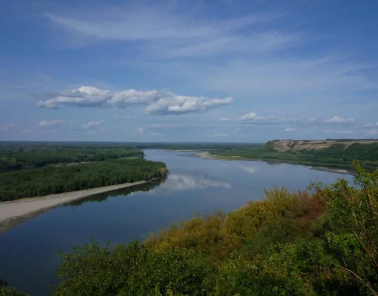 Река Обь Елунино. Река Обь в Алтайском крае. Полноводная река Обь. Излучина реки Обь. Река обь средняя
