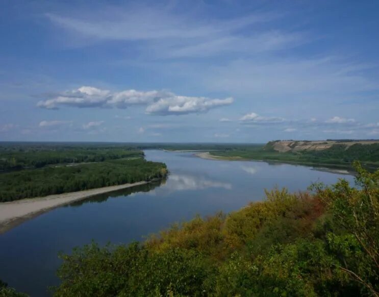 Река Обь Елунино. Река Обь в Алтайском крае. Полноводная река Обь. Излучина реки Обь. Сток реки обь