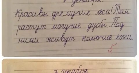 Списывание 7
