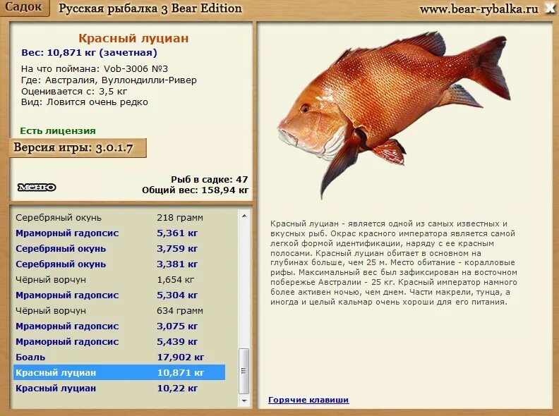 Луциан 3.3. Русская рыбалка Австралия красный луциан. Самая большая рыба луциан. Русская рыбалка 3 7 6 Индонезия луциан Бахир. Русская рыбалка 3 7 6 Австралия мраморный гадопсис.