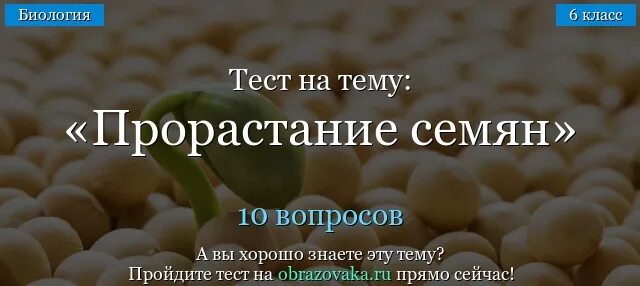 Тест по теме прорастание семян 6 класс