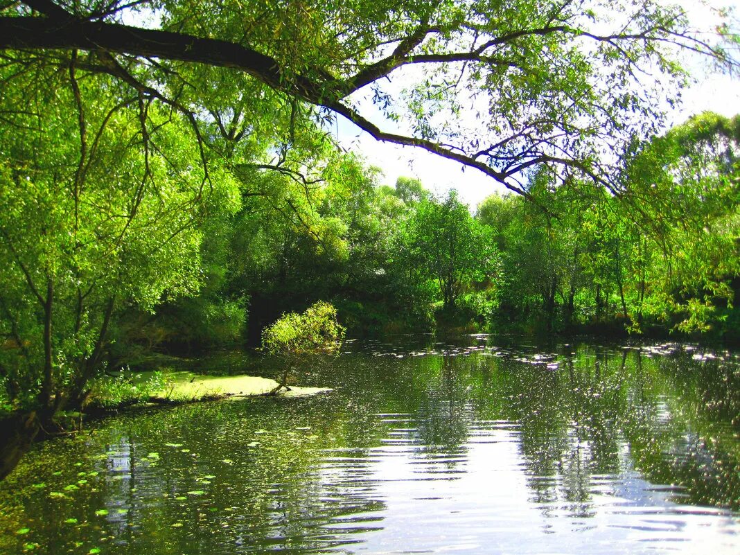 река суходрев полотняный завод. исток реки суходрев. станция суходрев. река суходрев. река суходрев калужской области.