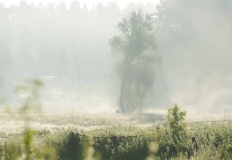 Туман несколько дней