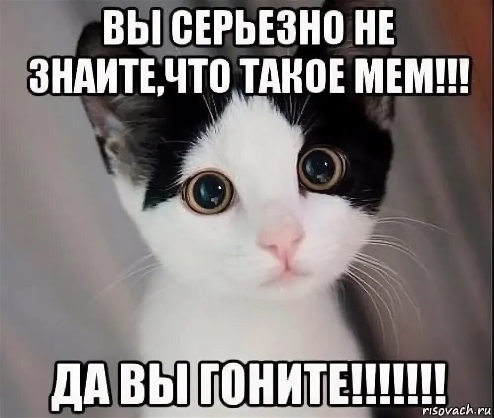 Что такое та да