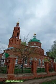 Можга алнаши