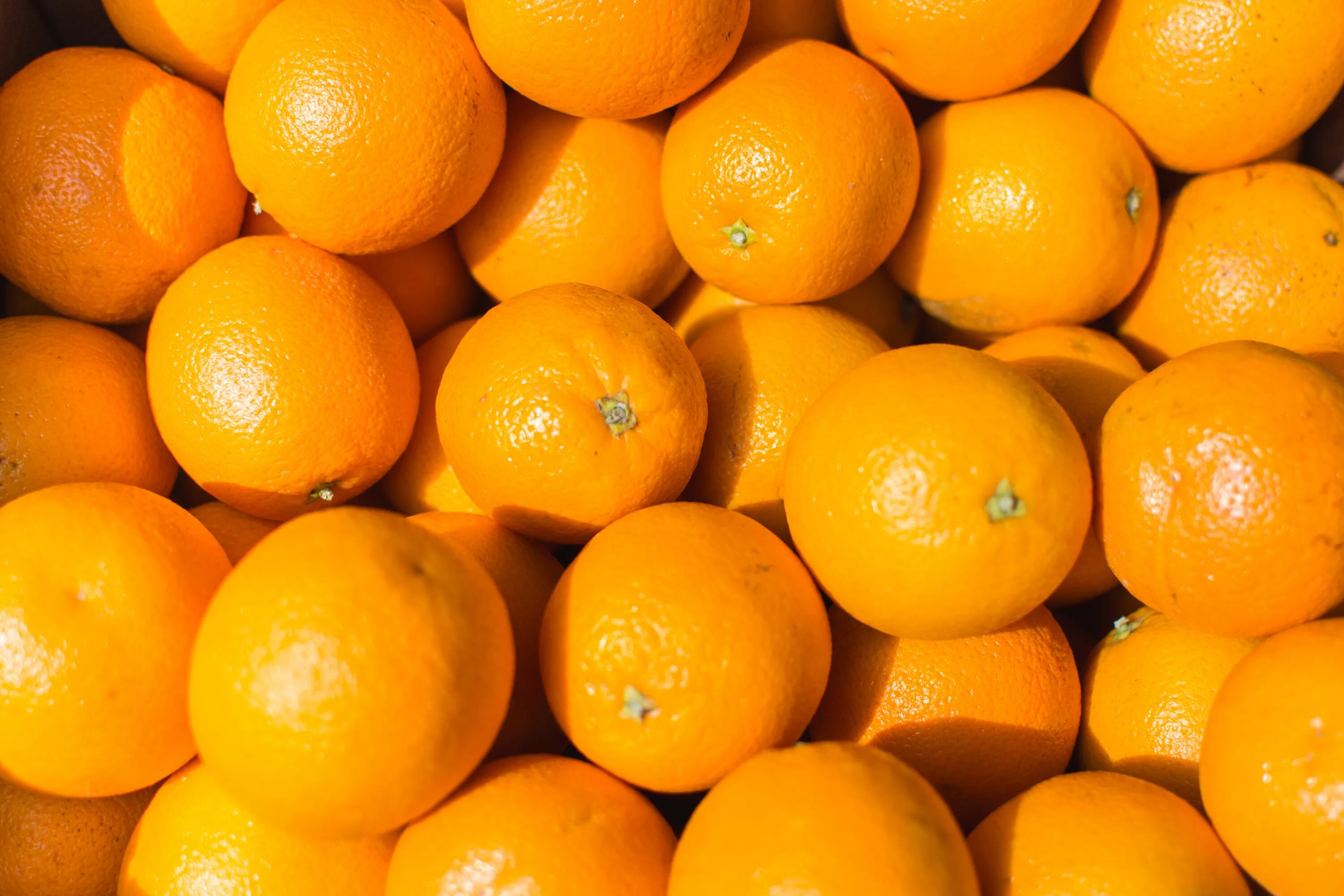 Рангпур цитрус. Апельсин navel. Оранжевый мандарин. Мандарин или Клементин.