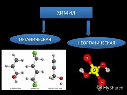 Различия органических и неорганических веществ