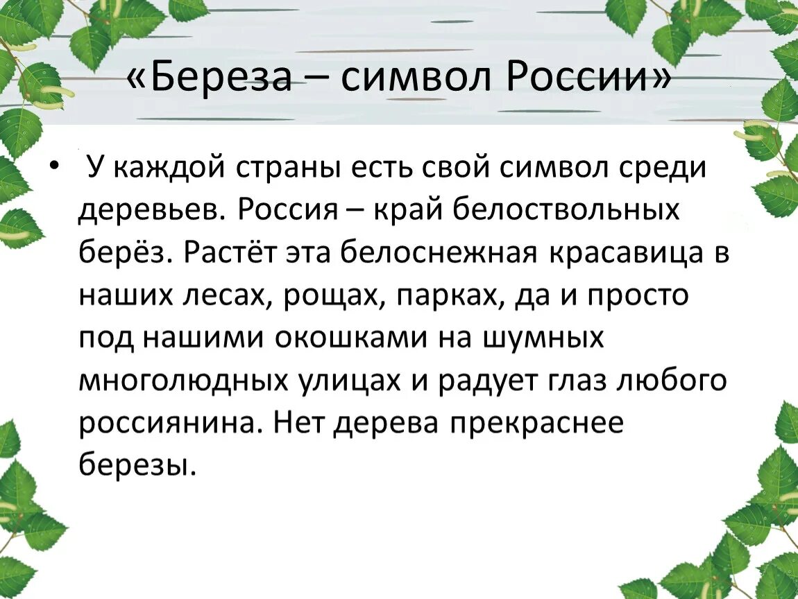 Презентация березка. Береза символ России. Береза символ. Берёза-символ России презентация. Березка для презентации.