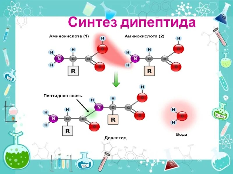 27 синтезы. Синтез дипептида. Схема синтеза дипептида. Дипептид схема. Аминокислоты в дипептид.