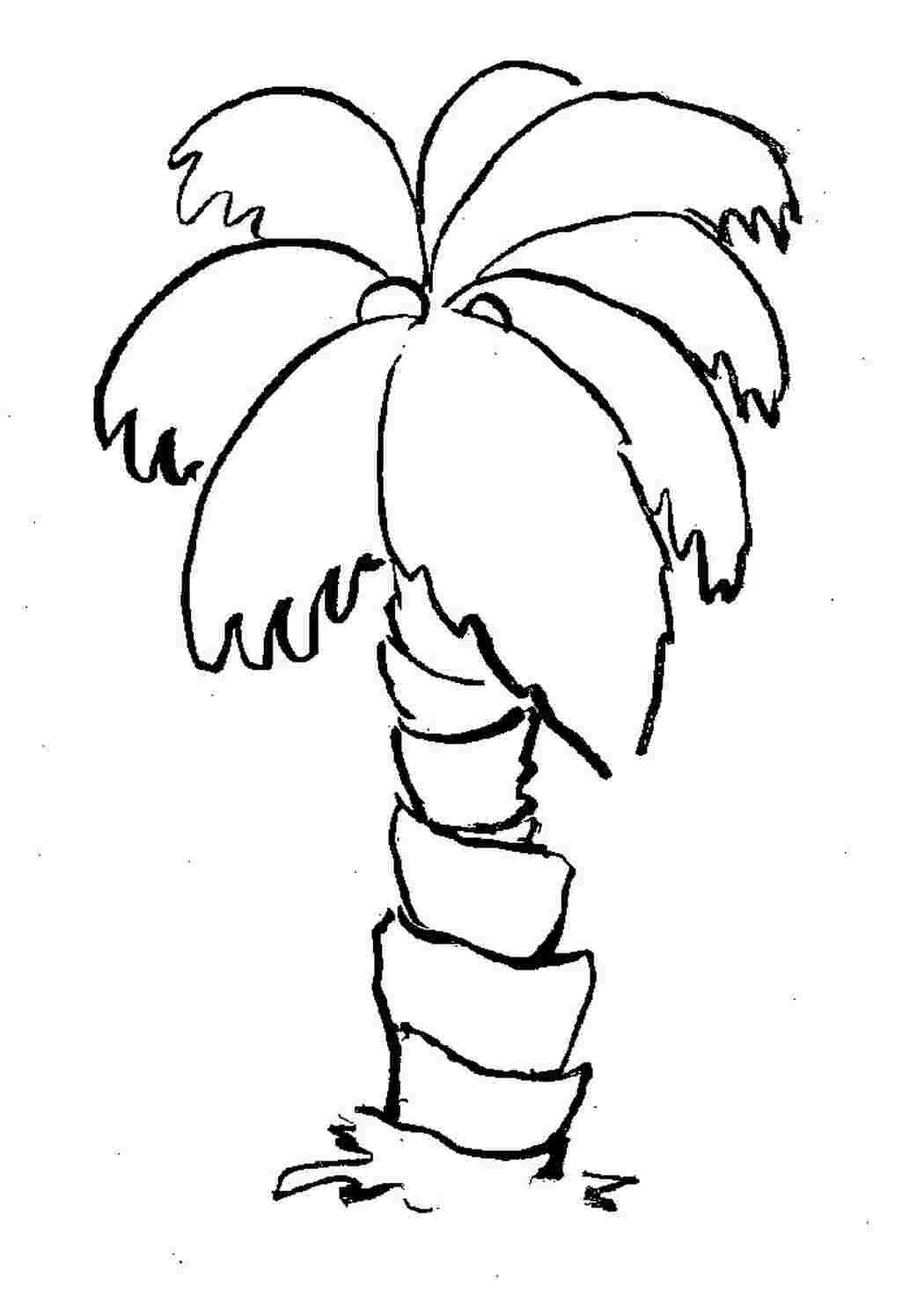Пальма раскраска для детей распечатать Free Printable Tree Coloring Pages For Kids Cool2bKids Tree coloring page, Leaf