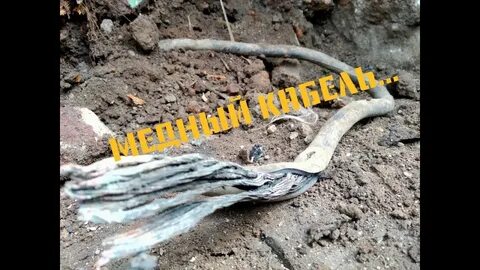 Искал а нашел золото