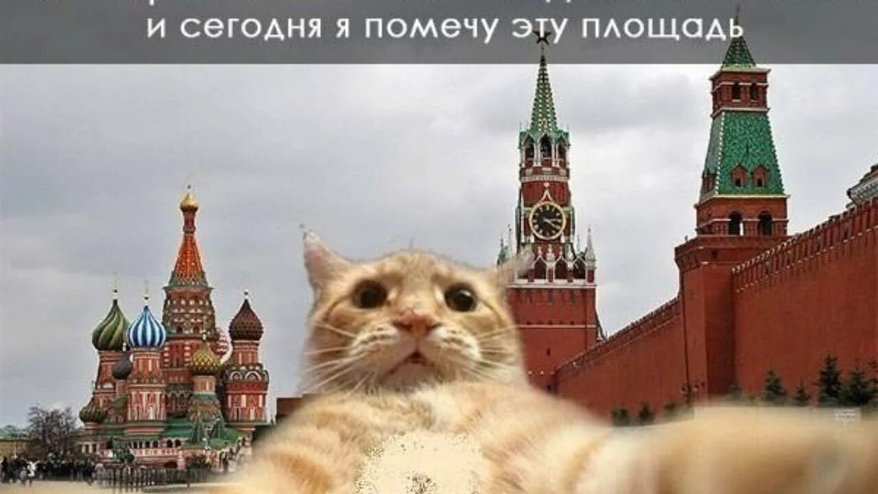 Я из москвы. Скоро москва. Ну я в москве. До встречи москва. Здравствуй москва.