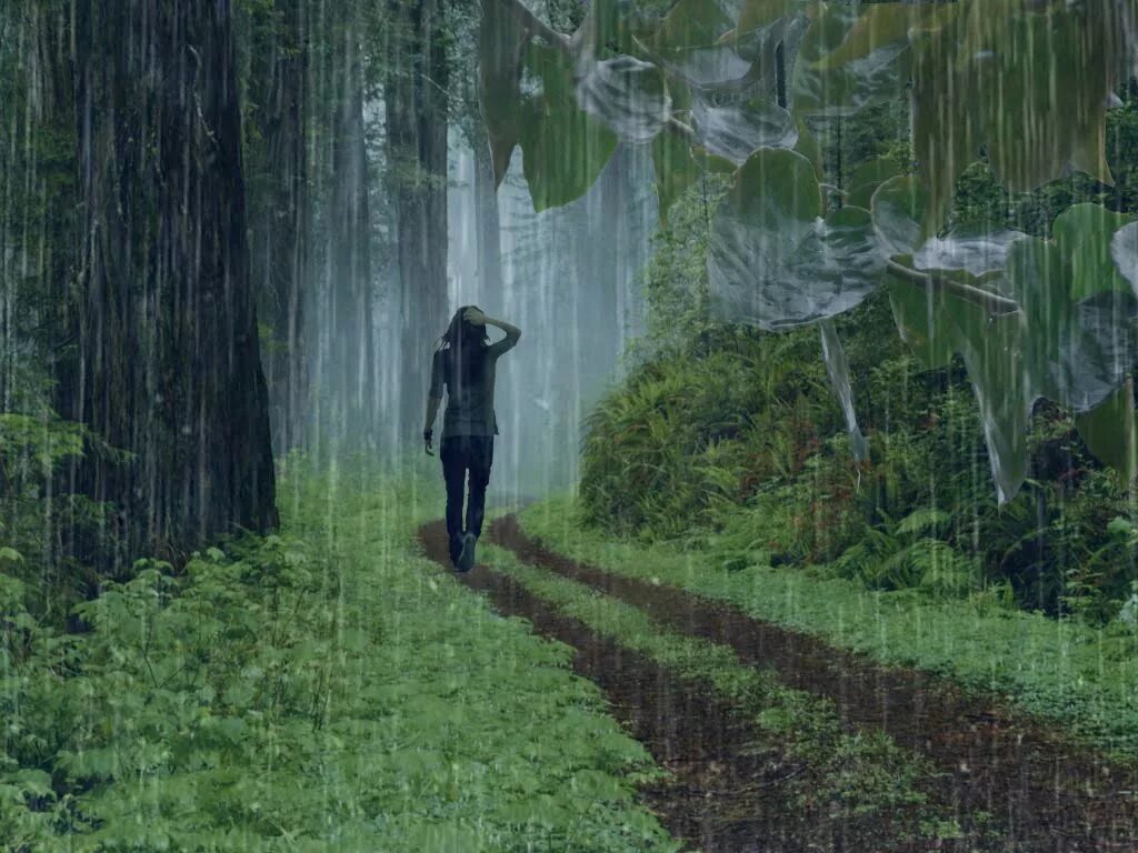 Rain walk. Walk in the Rain. Downpour Rain. The Forest дождь.