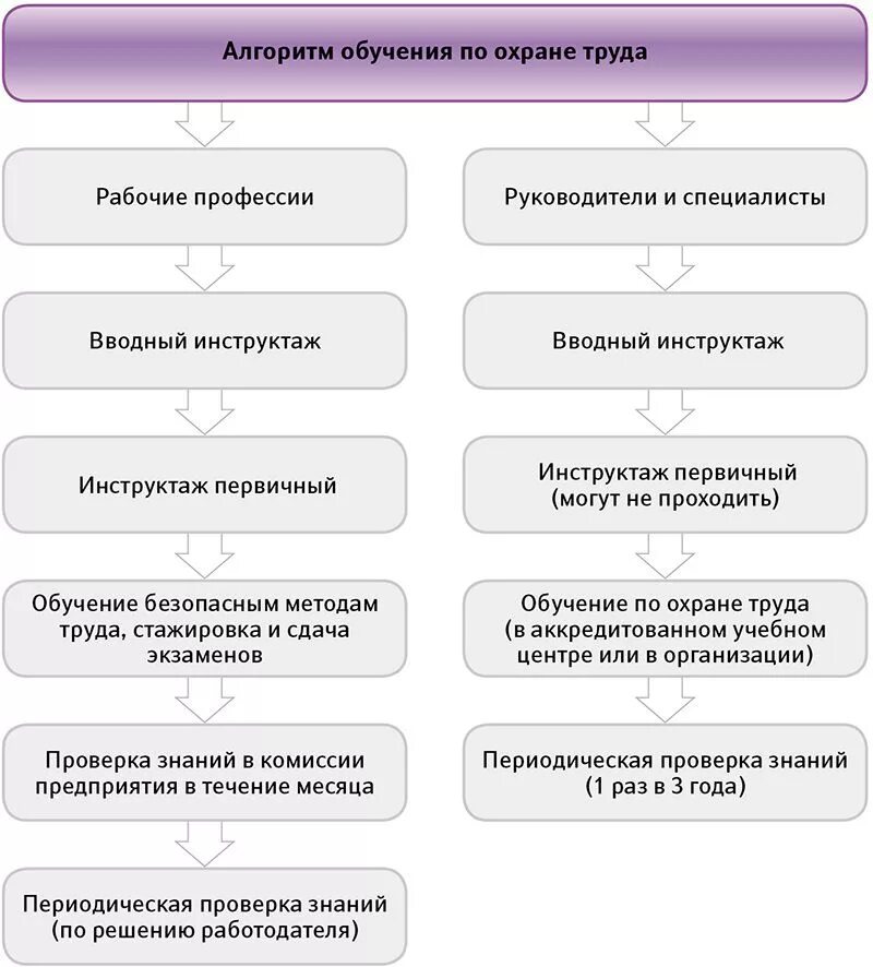 Алгоритм организации контроля. Схема обучения работников по охране труда. Алгоритм обучения по охране труда. Алгоритм работы специалиста по охране труда с нуля. Схема организации обучения по охране труда.